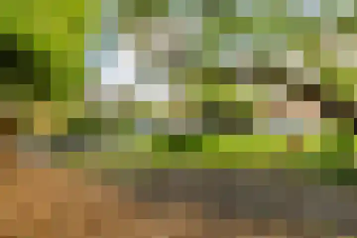 Zuiderpad 7 Zuidoostbeemster thumbnail 75