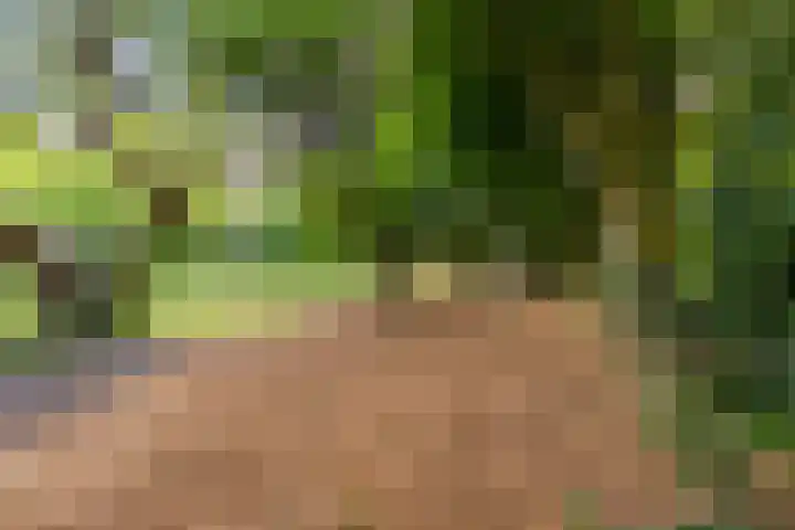 Zuiderpad 7 Zuidoostbeemster thumbnail 76