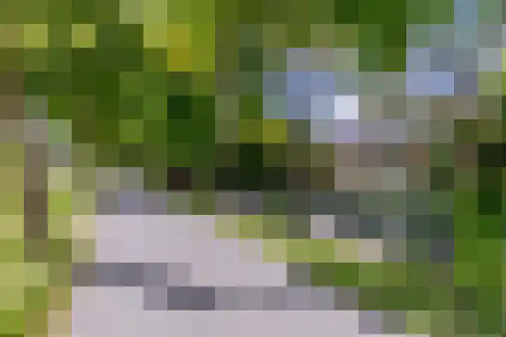 Zuiderpad 7 Zuidoostbeemster thumbnail 80