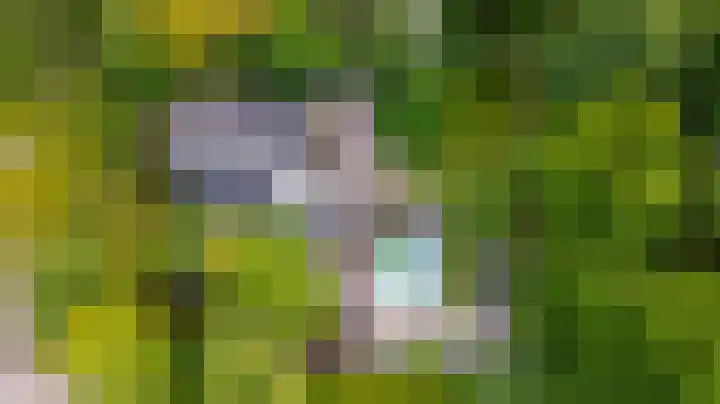 Zuiderpad 7 Zuidoostbeemster thumbnail 81