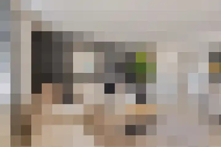 Zuiderpad 76 Zuidoostbeemster thumbnail 11