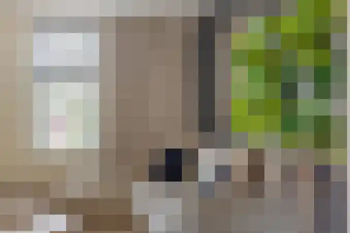 Zuiderpad 76 Zuidoostbeemster thumbnail 13