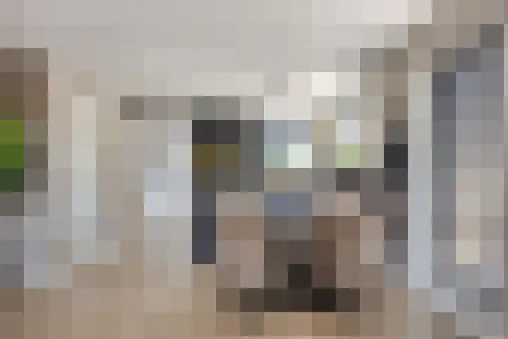 Zuiderpad 76 Zuidoostbeemster thumbnail 14
