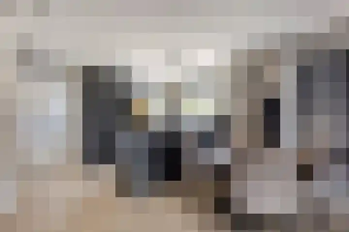 Zuiderpad 76 Zuidoostbeemster thumbnail 15