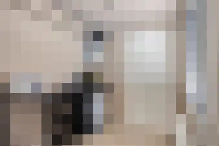 Zuiderpad 76 Zuidoostbeemster thumbnail 22