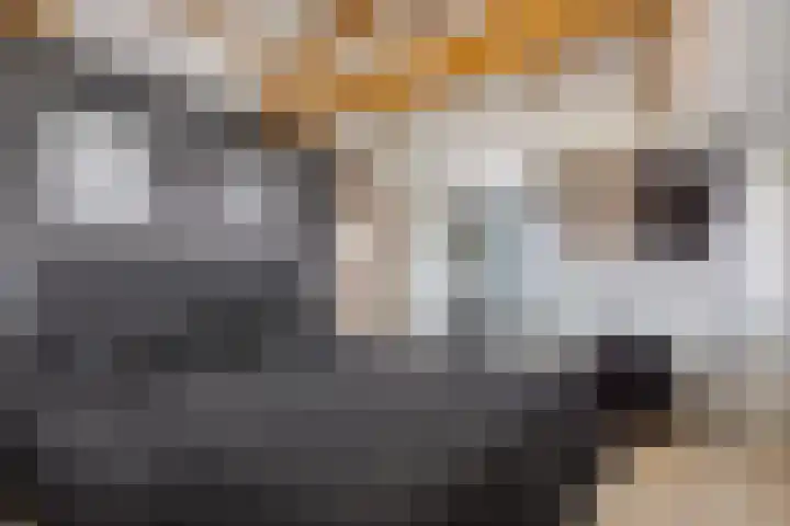 Zuiderpad 76 Zuidoostbeemster thumbnail 30