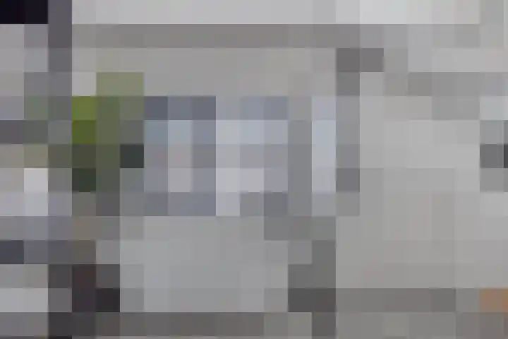 Zuiderpad 76 Zuidoostbeemster thumbnail 32