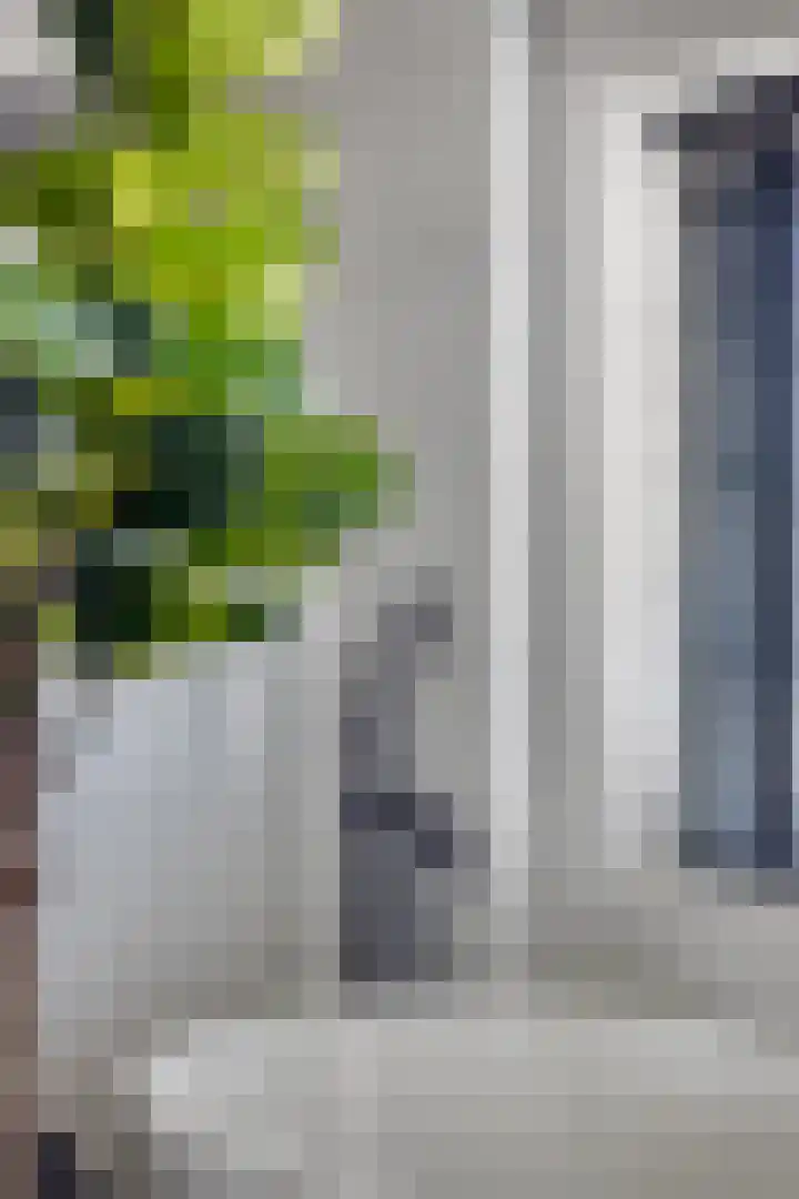 Zuiderpad 76 Zuidoostbeemster thumbnail 36