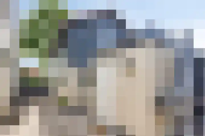 Zuiderpad 76 Zuidoostbeemster thumbnail 41