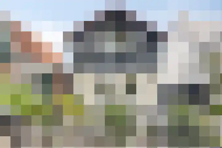 Zuiderpad 76 Zuidoostbeemster thumbnail 5