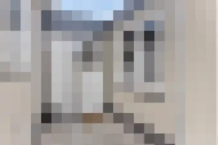 Zuiderpad 76 Zuidoostbeemster thumbnail 7