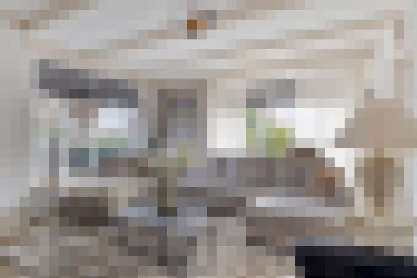 Zuiderpad 88 Zuidoostbeemster thumbnail 13