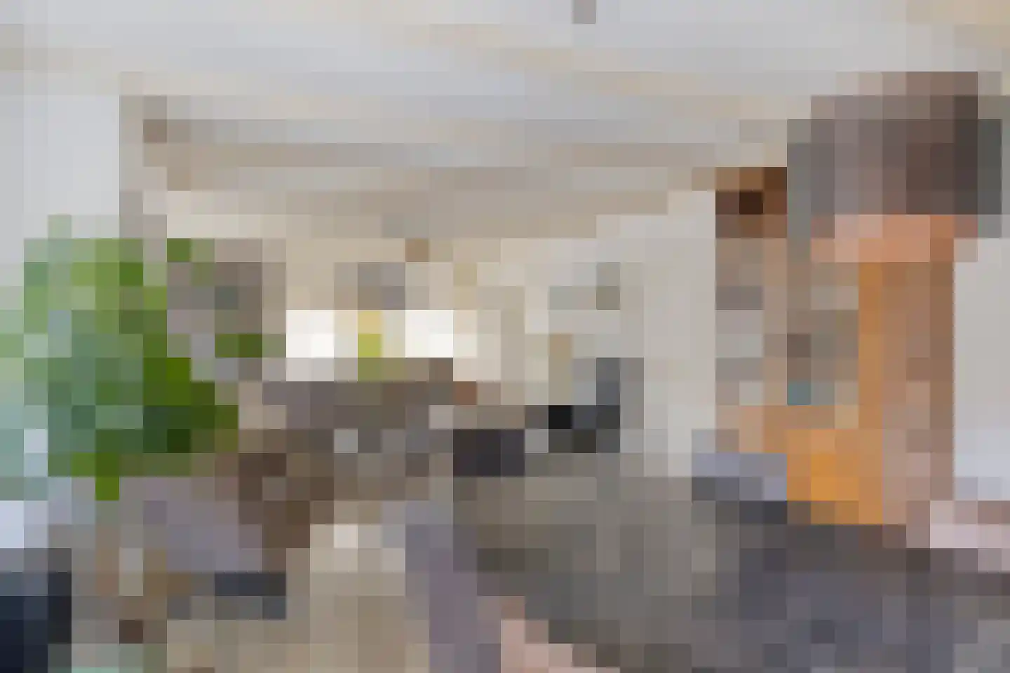 Zuiderpad 88 Zuidoostbeemster thumbnail 16