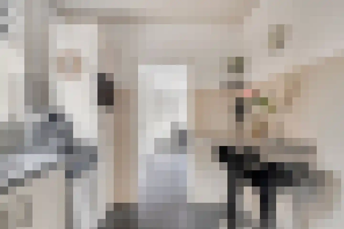 Zuiderpad 88 Zuidoostbeemster thumbnail 20