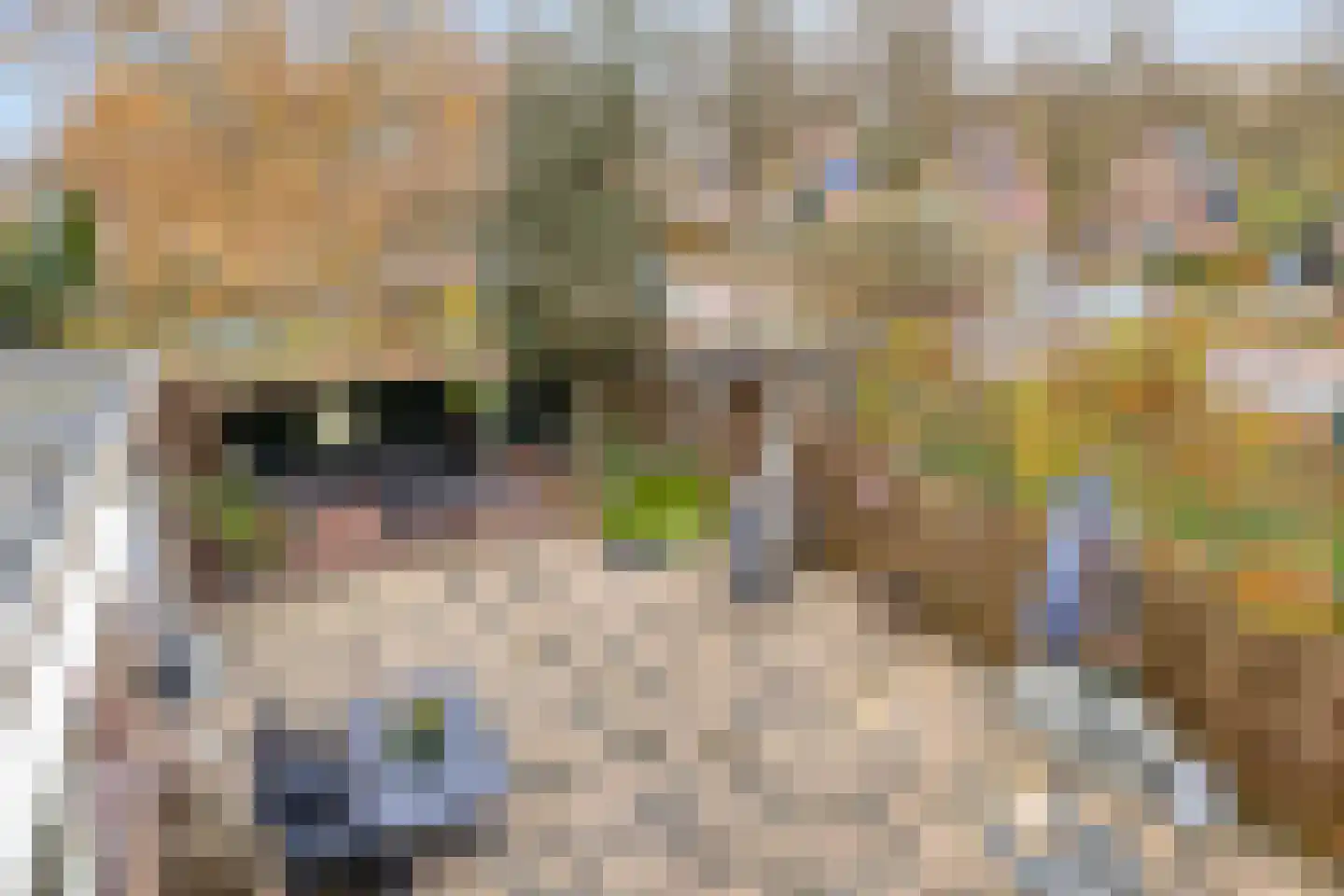 Zuiderpad 88 Zuidoostbeemster thumbnail 35