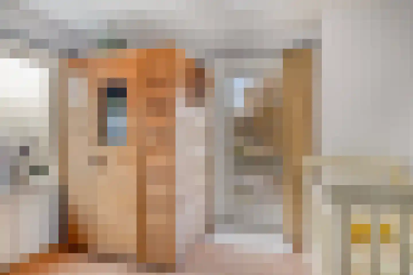 Zuiderpad 88 Zuidoostbeemster thumbnail 36