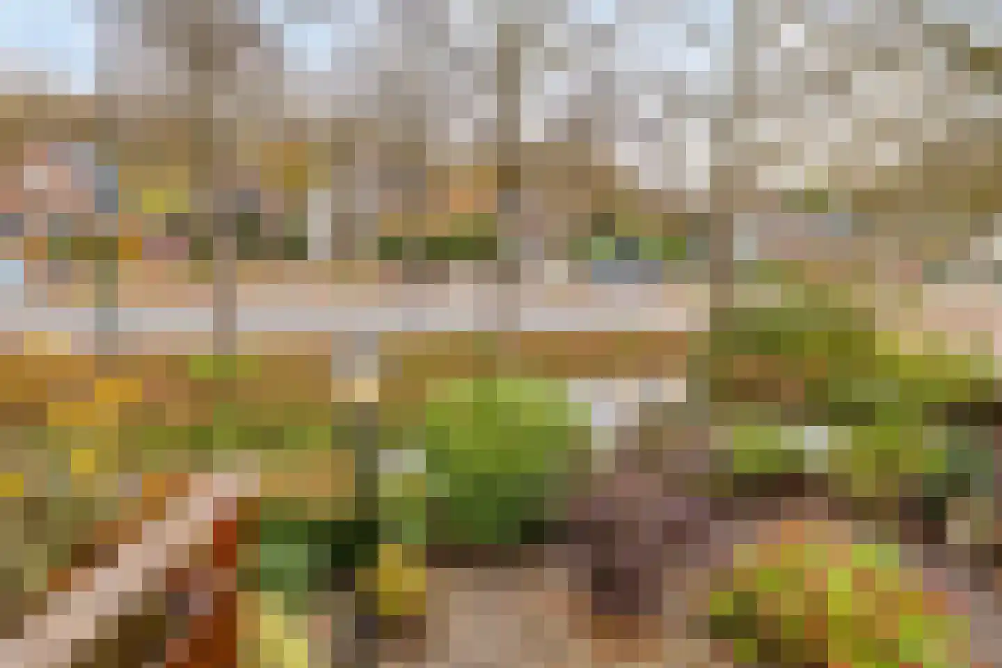 Zuiderpad 88 Zuidoostbeemster thumbnail 37
