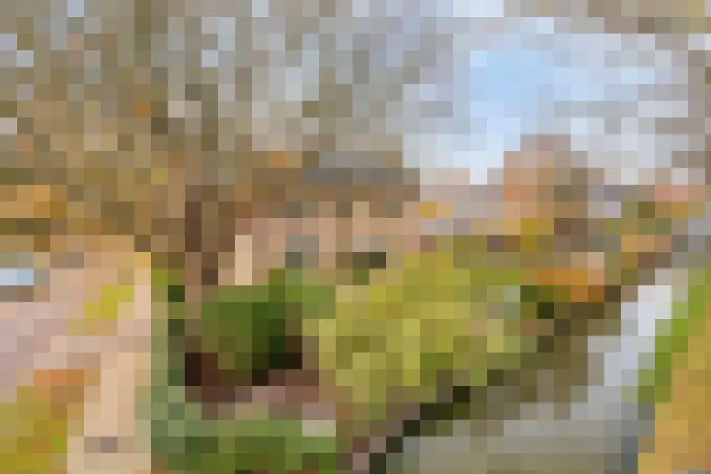 Zuiderpad 88 Zuidoostbeemster thumbnail 4