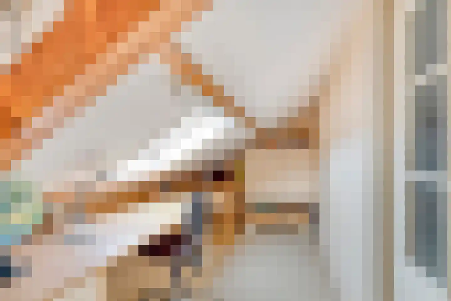 Zuiderpad 88 Zuidoostbeemster thumbnail 41