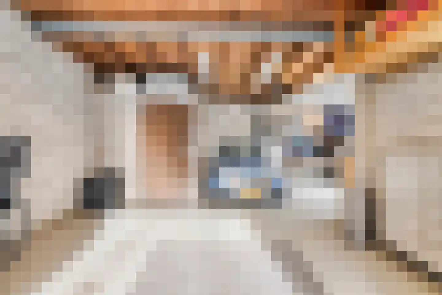 Zuiderpad 88 Zuidoostbeemster thumbnail 45