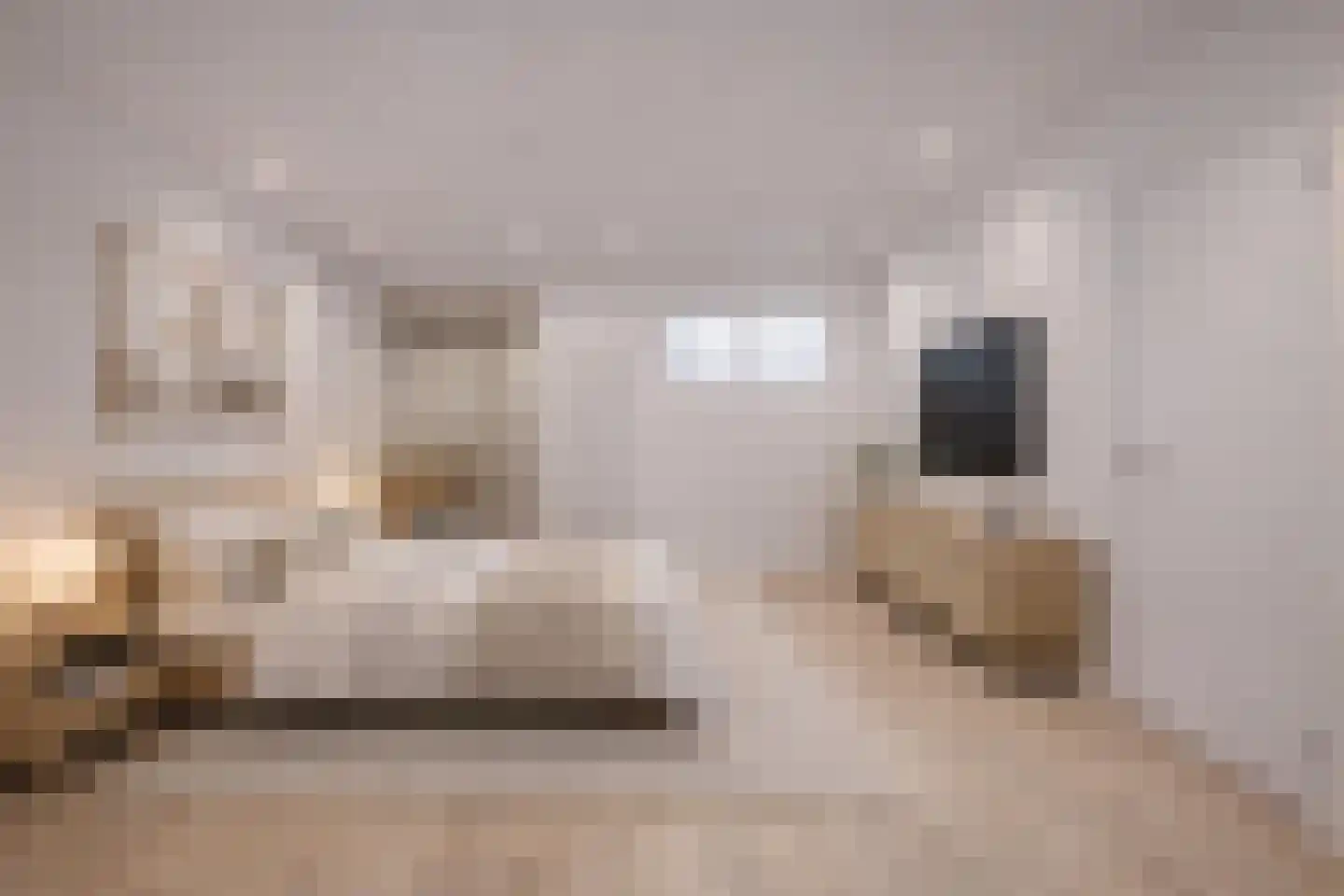 Zuiderpad 88 Zuidoostbeemster thumbnail 47