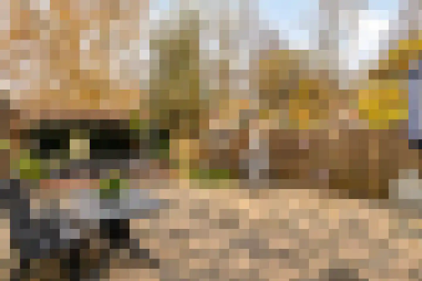 Zuiderpad 88 Zuidoostbeemster thumbnail 50