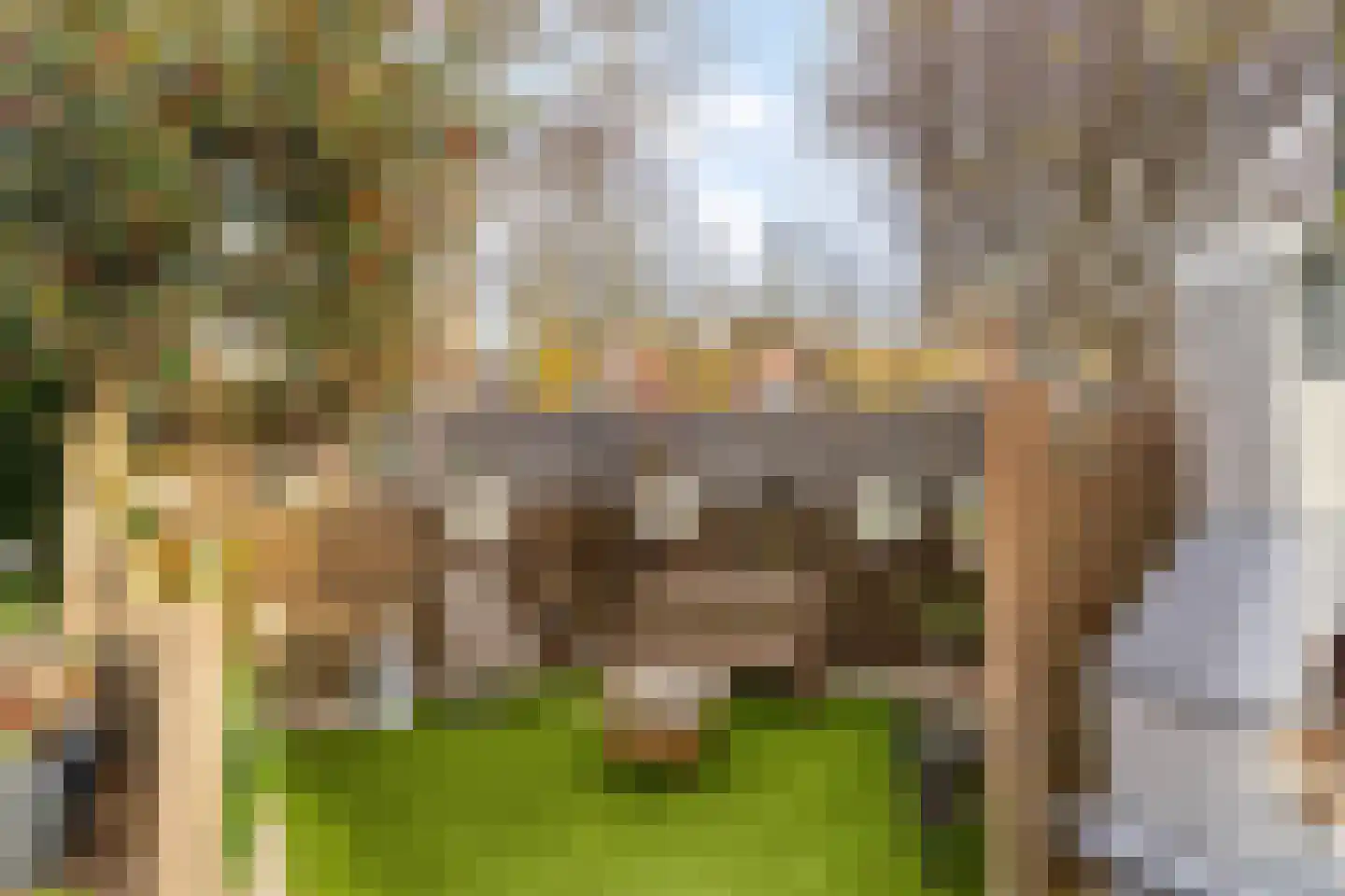 Zuiderpad 88 Zuidoostbeemster thumbnail 53