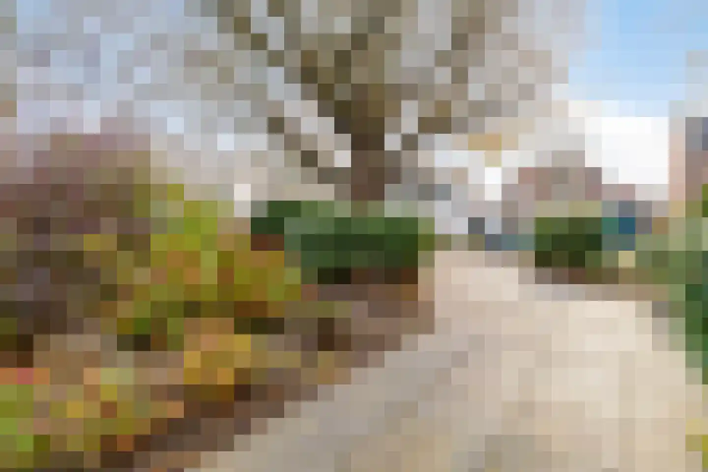 Zuiderpad 88 Zuidoostbeemster thumbnail 55