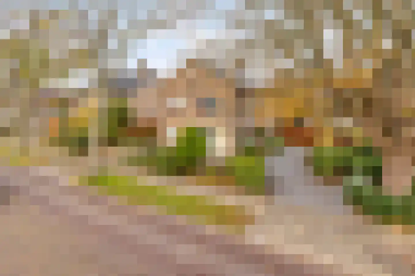 Zuiderpad 88 Zuidoostbeemster thumbnail 58
