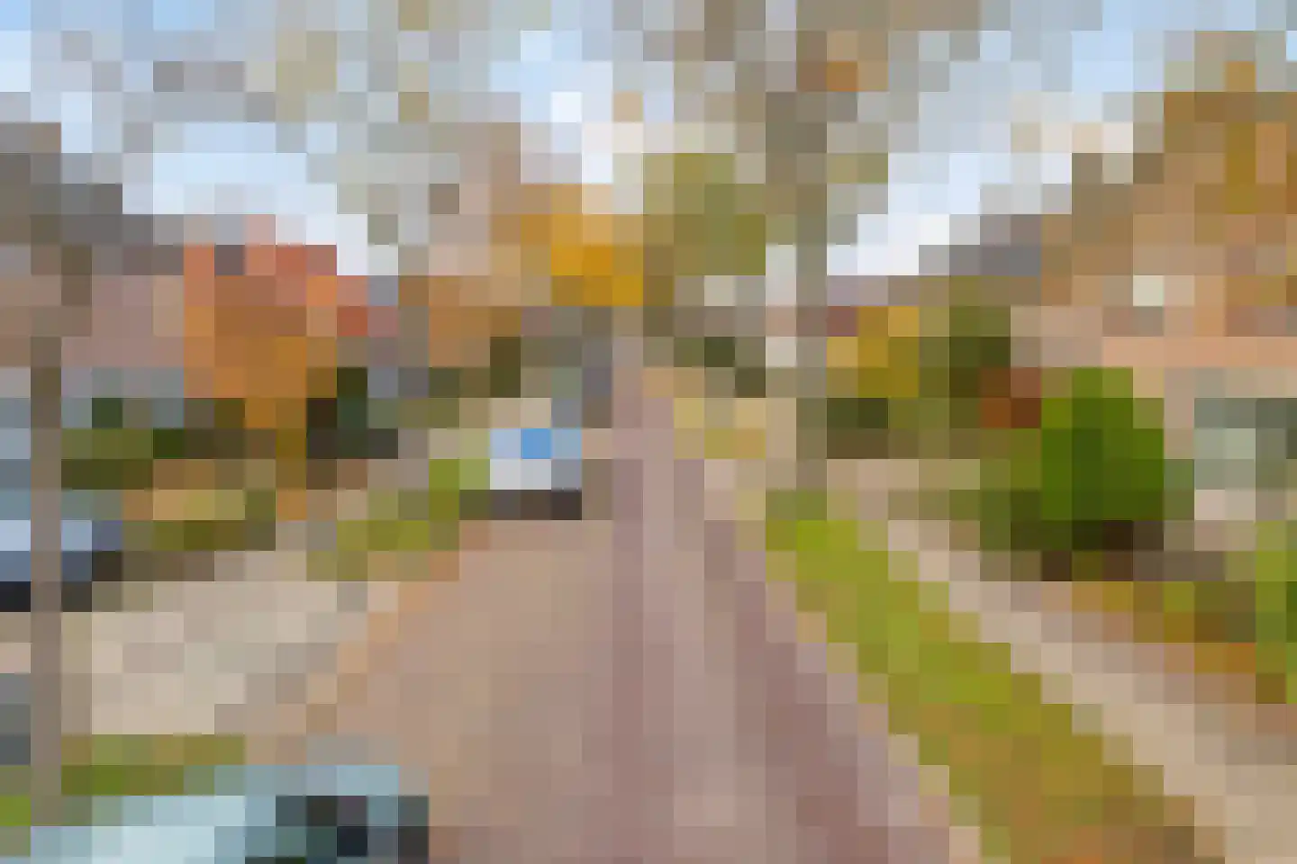 Zuiderpad 88 Zuidoostbeemster thumbnail 59