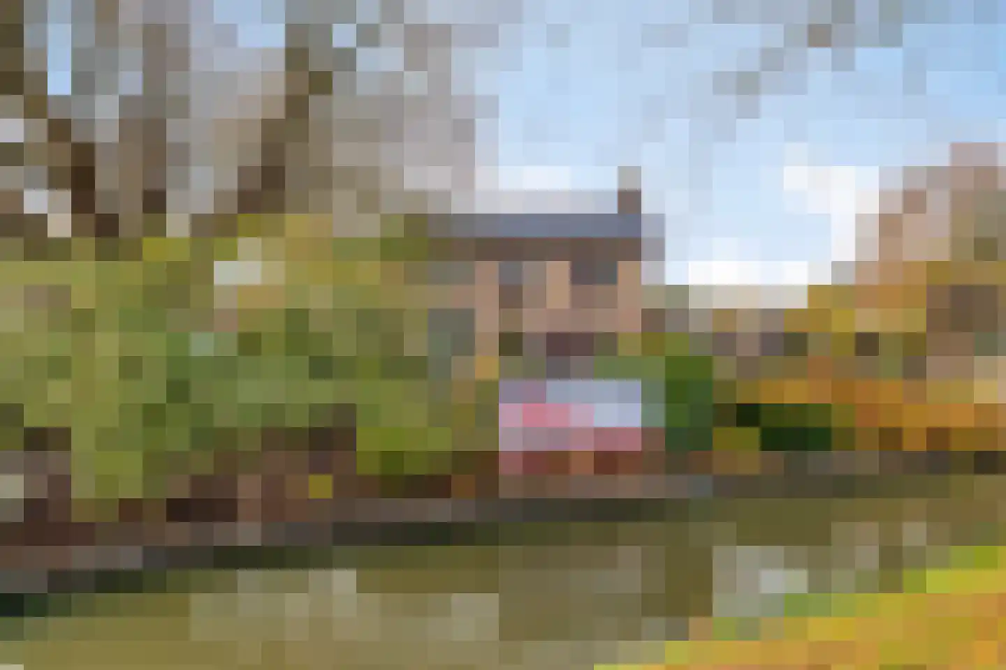 Zuiderpad 88 Zuidoostbeemster thumbnail 61