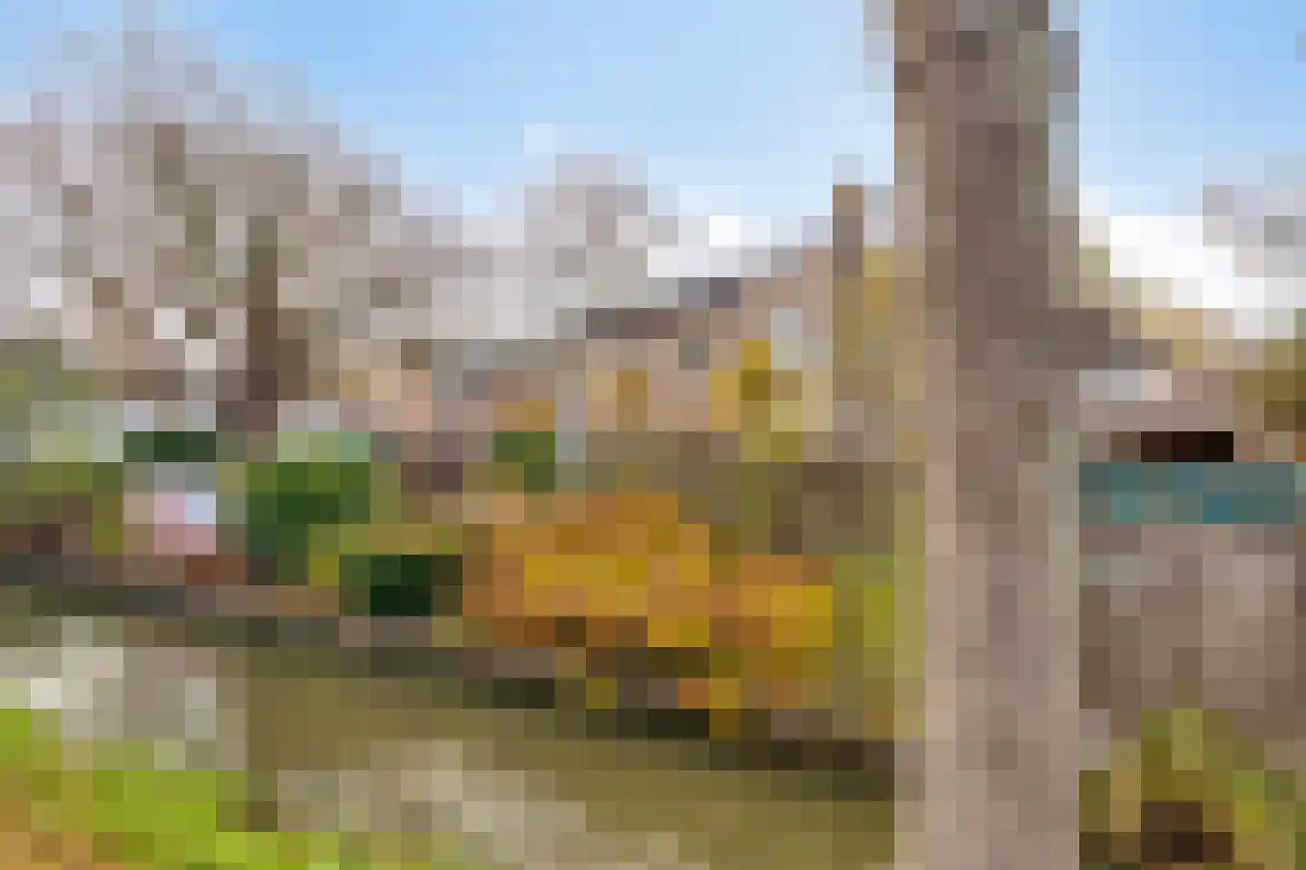 Zuiderpad 88 Zuidoostbeemster thumbnail 64