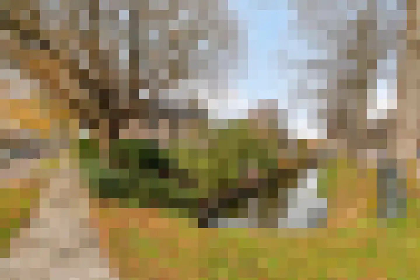Zuiderpad 88 Zuidoostbeemster thumbnail 65