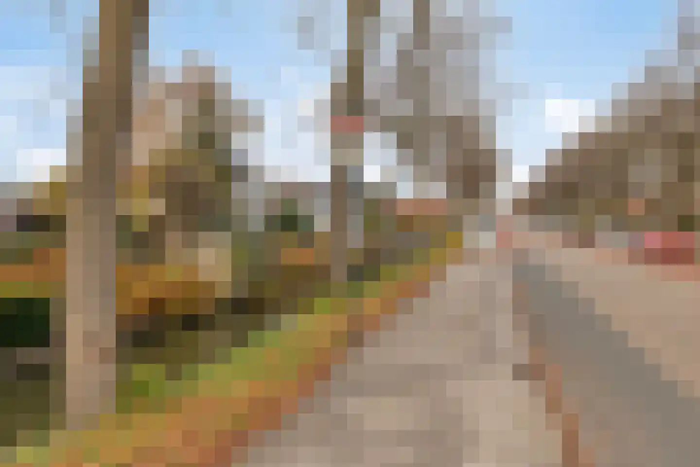 Zuiderpad 88 Zuidoostbeemster thumbnail 66