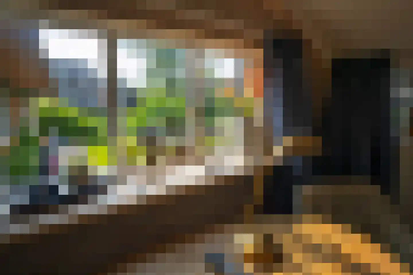 Zuiderpad 9 Giethoorn thumbnail 37