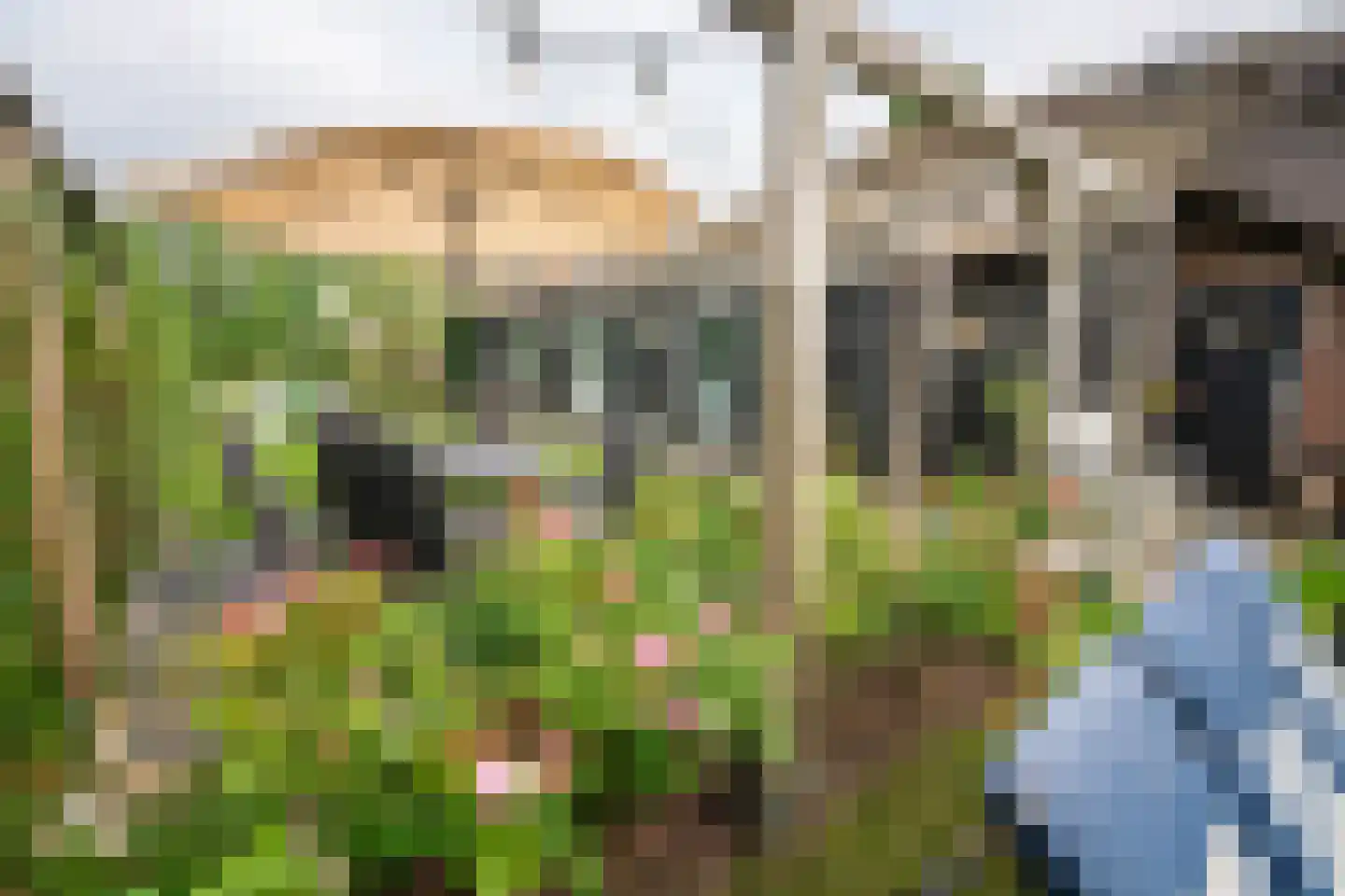 Zuiderpad 9 Giethoorn thumbnail 54