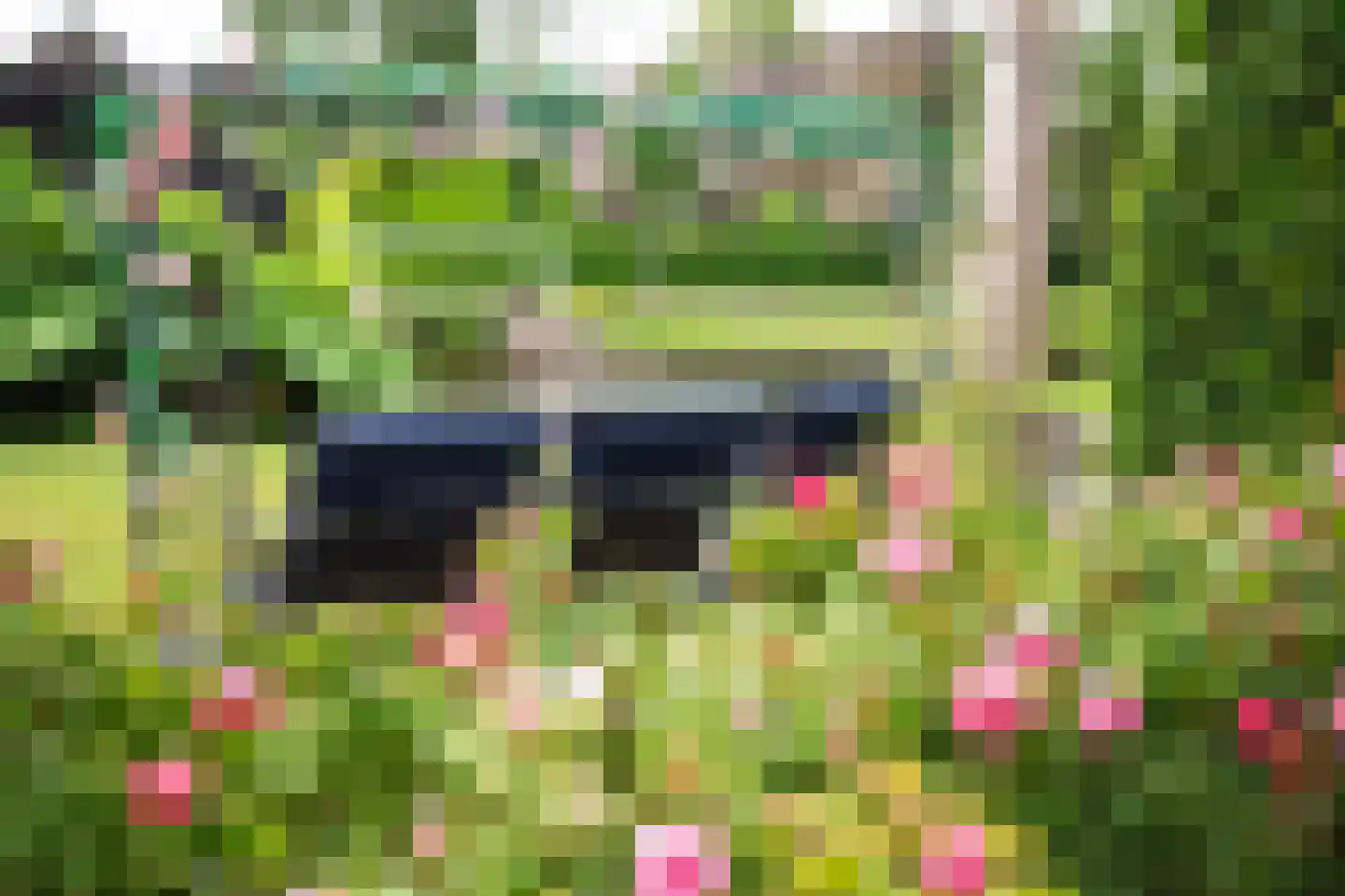 Zuiderpad 9 Giethoorn thumbnail 56