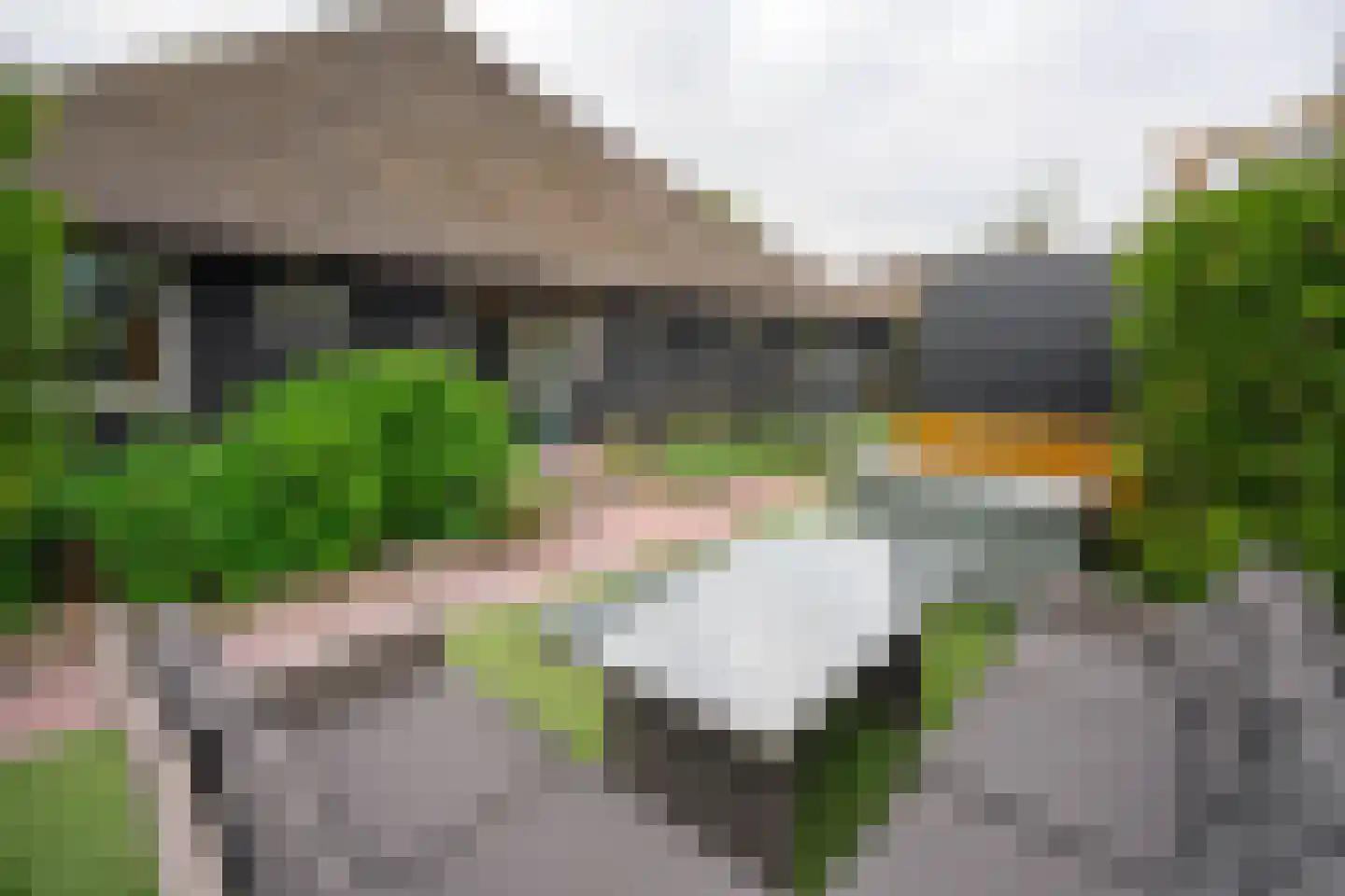 Zuiderpad 9 Giethoorn thumbnail 57