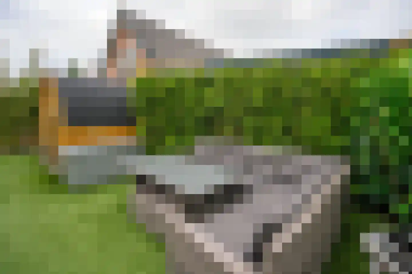 Zuiderpad 9 Giethoorn thumbnail 58