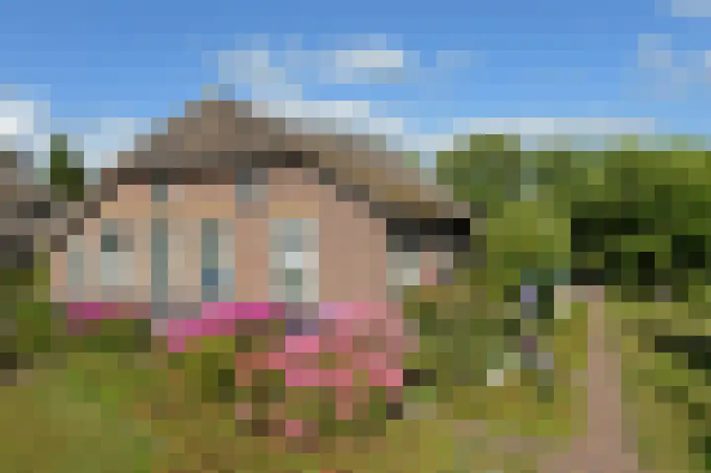 Zuiderpad 9 Giethoorn thumbnail 59