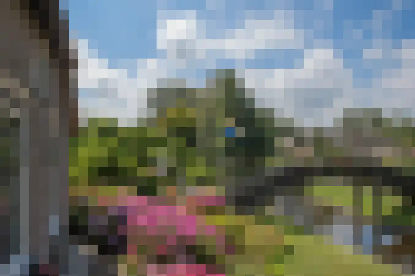 Zuiderpad 9 Giethoorn thumbnail 60