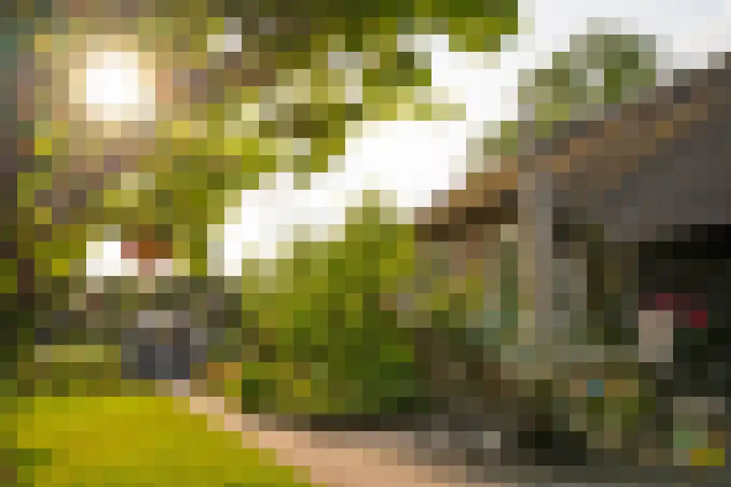 Zuiderpad 9 Giethoorn thumbnail 61