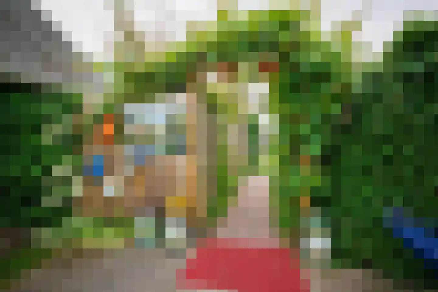 Zuiderpad 9 Giethoorn thumbnail 63