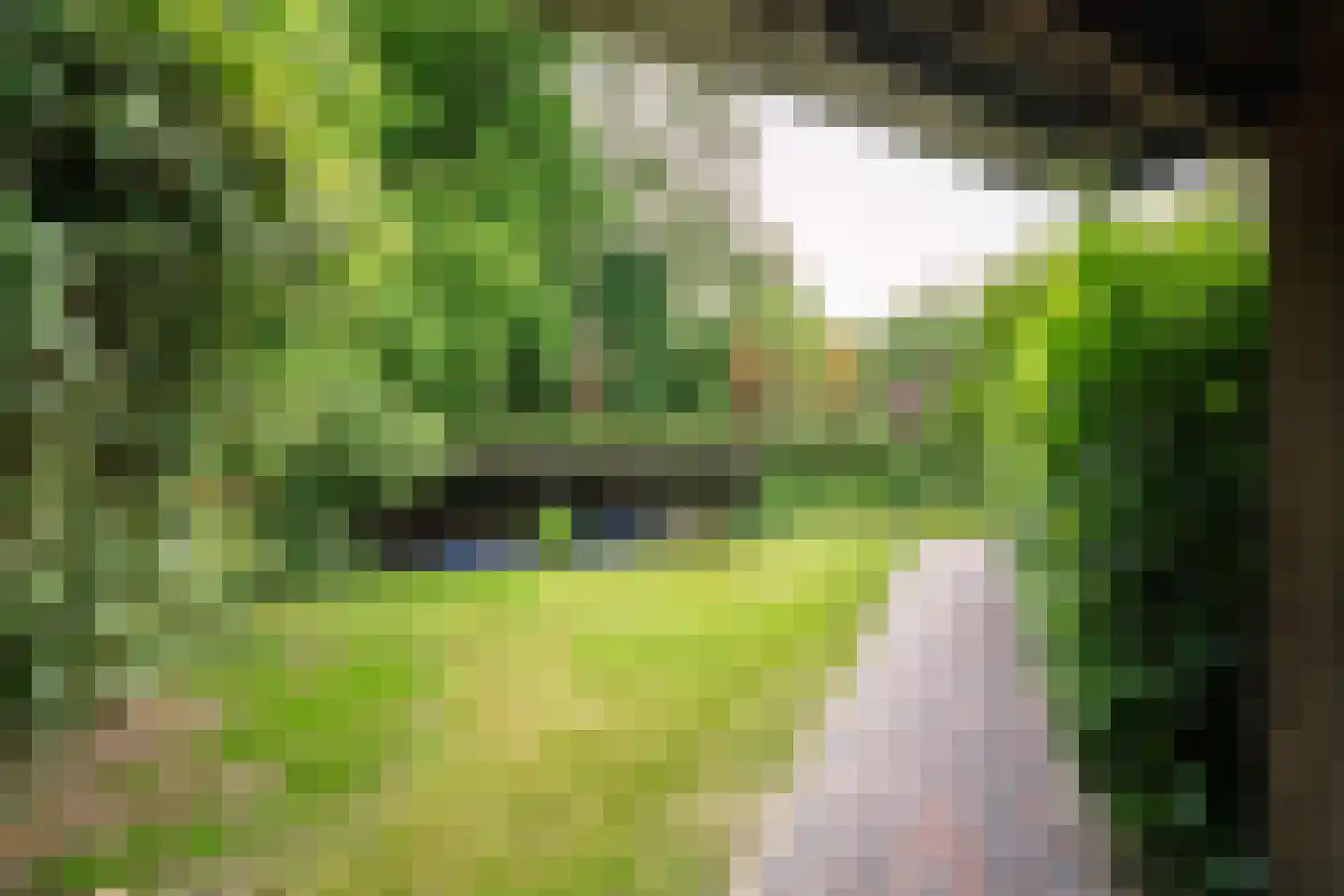 Zuiderpad 9 Giethoorn thumbnail 68