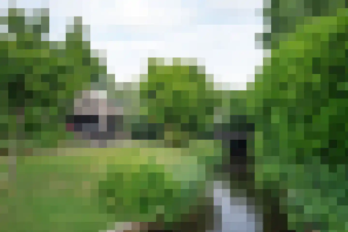 Zuiderpad 9 Giethoorn thumbnail 70