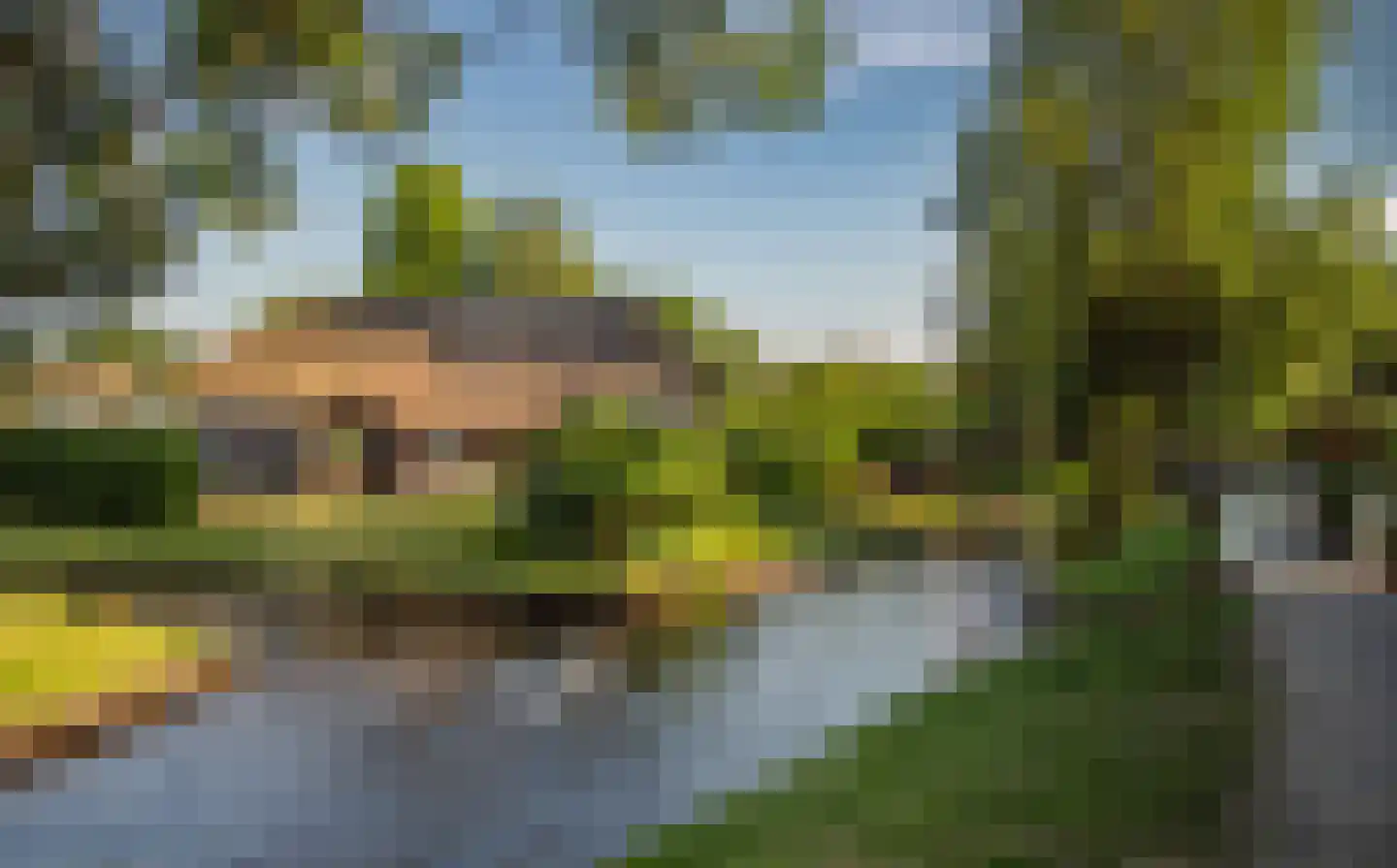 Zuiderpad 9 Giethoorn thumbnail 71