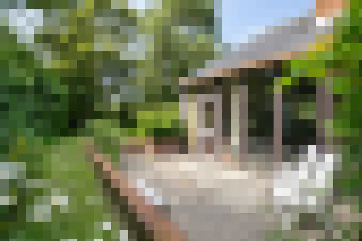 Zuiderpark 11 Domburg thumbnail 24