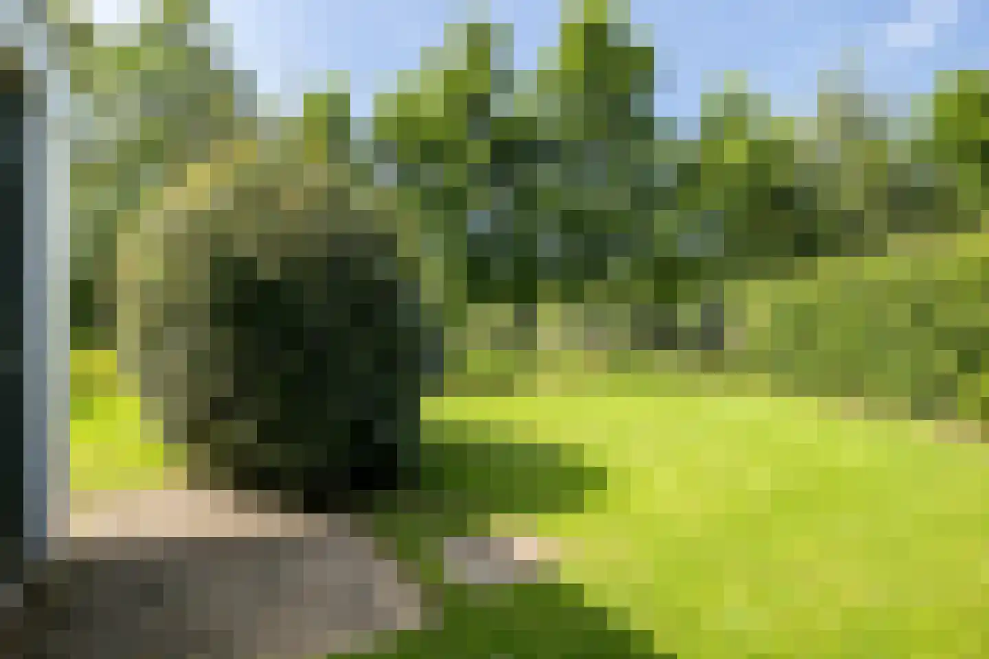 Zuiderpark 11 Domburg thumbnail 29