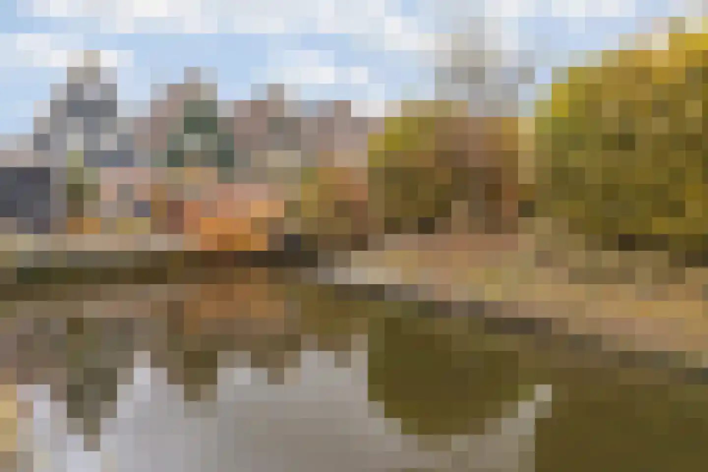 Zuiderpark 25 Kudelstaart thumbnail 10