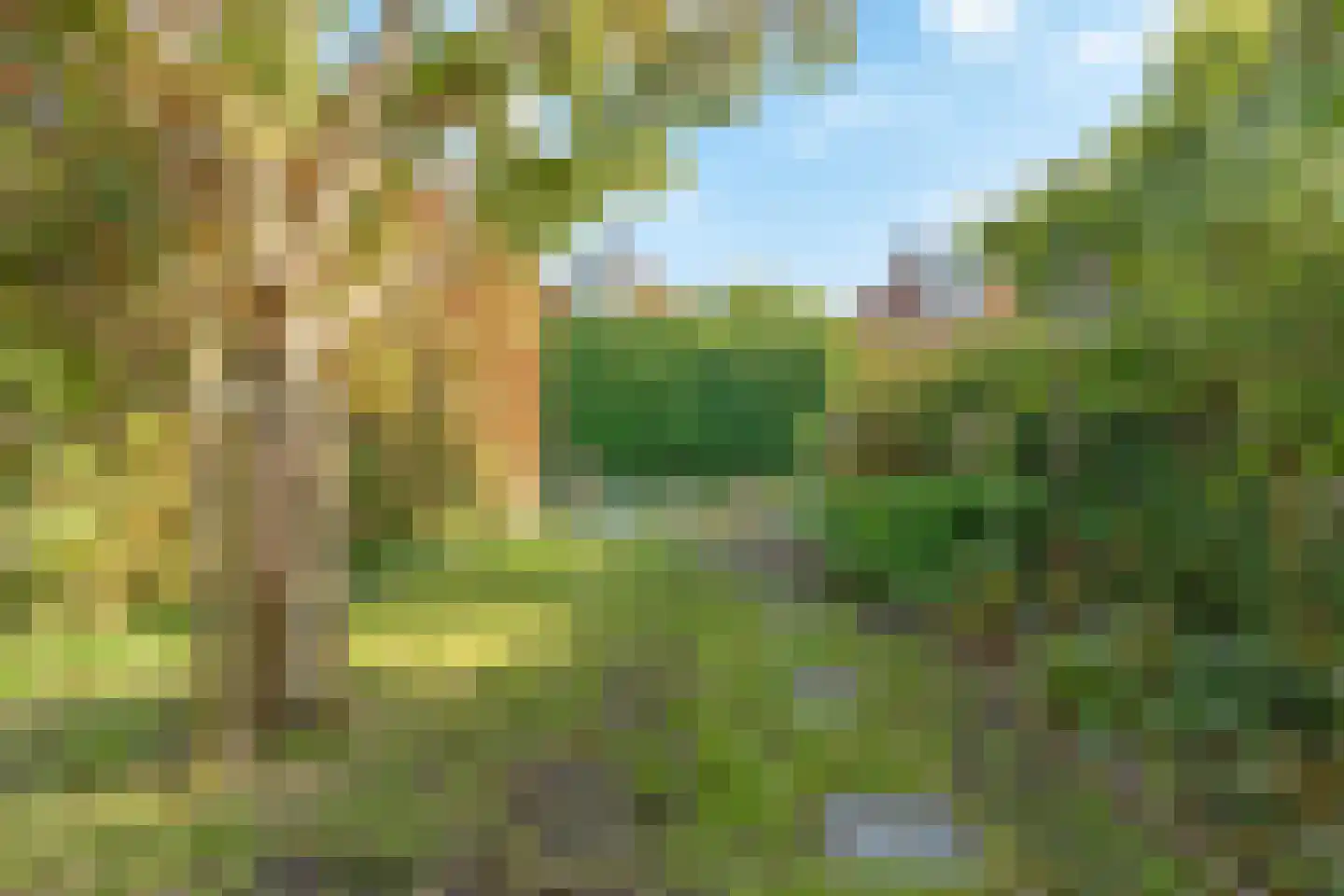 Zuiderpark 25 Kudelstaart thumbnail 25